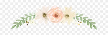 Wedding Inquiries - Wedding