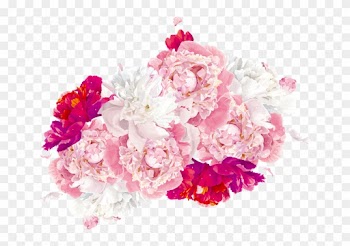 Wedding Invitation Baptism Floral Design Convite Spanish - Wedding Invitation Baptism Floral Design Convite Spanish