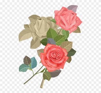 Wedding Invitation Beach Rose Flower Euclidean Vector - Rose