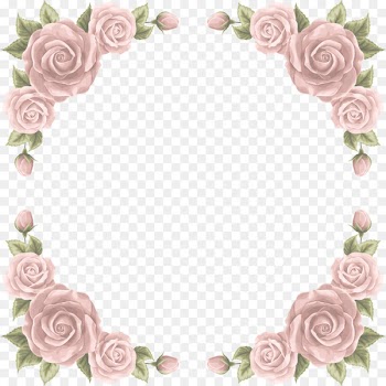 Wedding invitation Beach rose Paper - Vector hand-painted roses border 