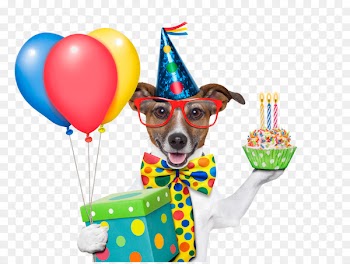 Wedding invitation Birthday cake Greeting card Wish - Birthday dog 