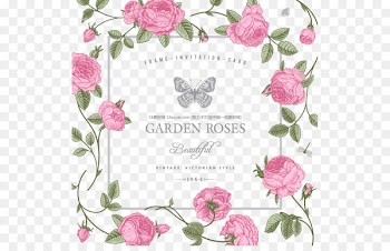 Wedding invitation Birthday cake Wish Greeting card - Vintage Rose decorative borders 