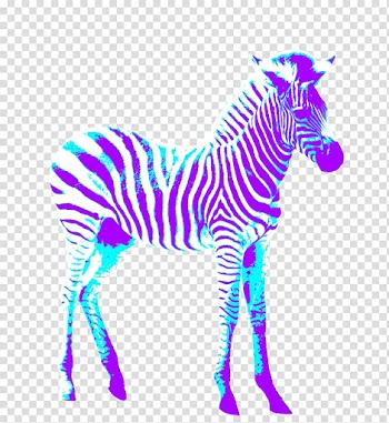 Wedding invitation Birthday Greeting card Psychedelia Zebra, zebra transparent background PNG clipart