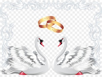 Wedding invitation Black swan Clip art - Swan wedding ring wedding elements 