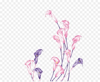 Wedding invitation Butterfly Purple Painting Violet - Pink Purple Flower Potato Flower Picture 