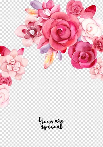 Wedding invitation Calligraphy Graphic design Handout Font, flowers, pink and white roses illustration transparent background PNG clipart