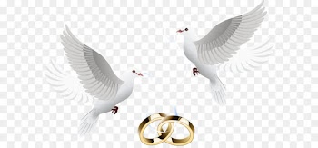 Wedding invitation Clip art - Dove inlay ring 