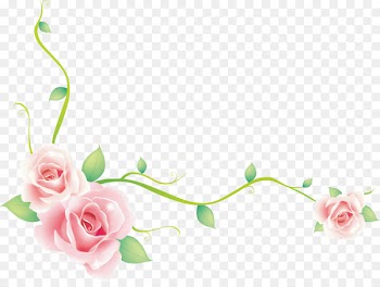Wedding invitation Convite Clip art - Rose background vector roses sea 