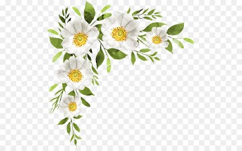 Wedding invitation Cut flowers Floral design Watercolor painting - watercolor white flower 