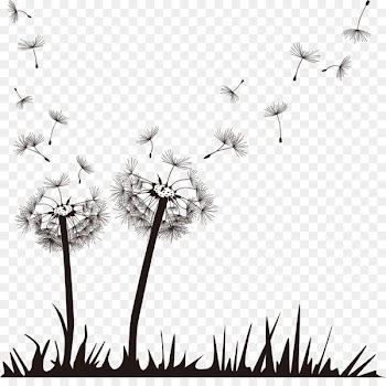 Wedding invitation Dandelion Euclidean vector - Vector Hand-painted Dandelion 