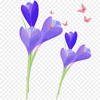 Wedding invitation Flower bouquet Tulip Convite -  