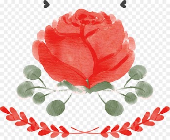 Wedding invitation Garden roses Beach rose Convite - Red roses wedding invitation 