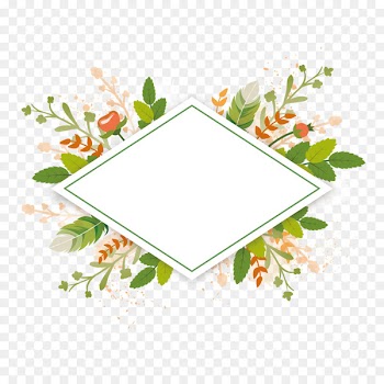 Wedding invitation Greeting card E-card Morning Birthday - Vector green plant borders 