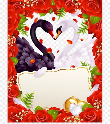 Wedding invitation Greeting card Valentines Day - Vector Swan 