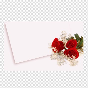 Wedding invitation High-definition video , White Rose transparent background PNG clipart