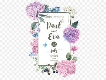Wedding invitation Hydrangea Flower Illustration - Vector fashion flowers invitation design material 
