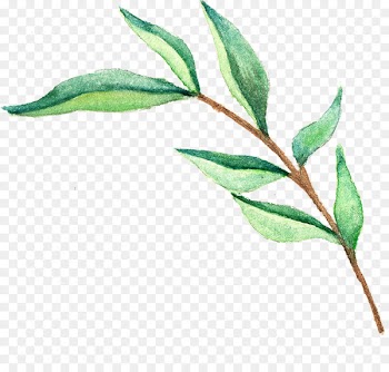 Wedding invitation Leaf Watercolor painting Green - Watercolor leaves 