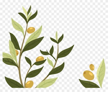 Wedding Invitation Olive Leaf Olive Branch - Olive