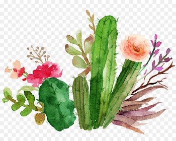 Wedding invitation Paper Flower Textile Succulent plant - Cactus flowers watercolor 