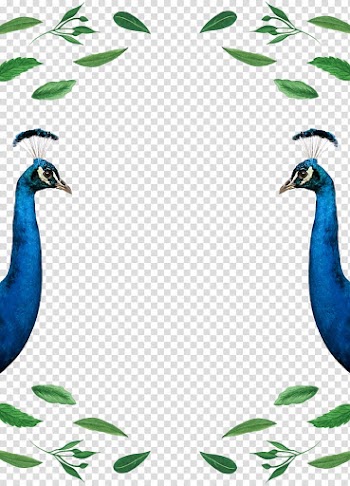 Wedding invitation Paper Goose Duck, peacock transparent background PNG clipart