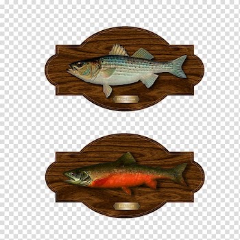 Wedding invitation Party Birthday Fishing Gift, Fish show transparent background PNG clipart