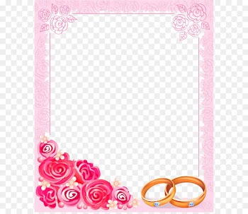 Wedding invitation Picture frame Clip art - Border pink roses Stock Image 