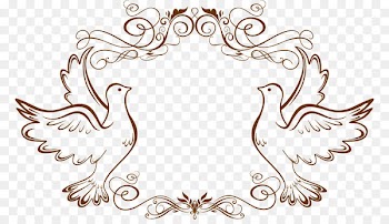 Wedding invitation Picture frame Clip art - Pigeon border 