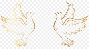 Wedding invitation Picture Frames Clip art - GOLD LINE 