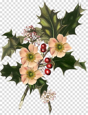 Wedding invitation Santa Claus Christmas decoration Christmas card, Couronne De Fleurs transparent background PNG clipart