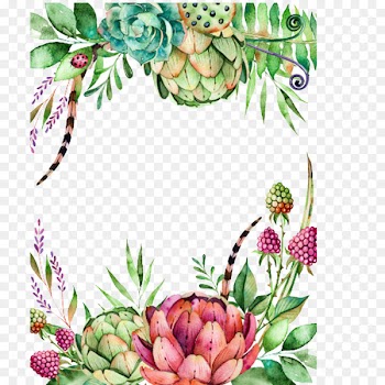 Wedding invitation Succulent plant Flower Watercolor painting Illustration - Foreign hand-painted watercolor flower insect Succulents 