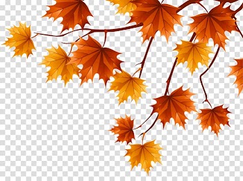 Wedding invitation Thanksgiving Greeting & Note Cards Autumn , swan transparent background PNG clipart