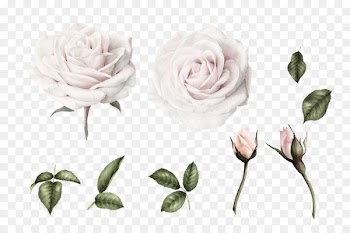 Wedding invitation Watercolor painting Flower White Clip art - White Flower bud 