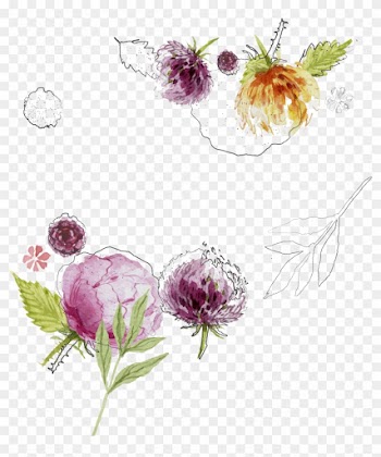 Wedding Invitation Watercolour Flowers Watercolor Painting - Watercolor Plant Wedding Png
