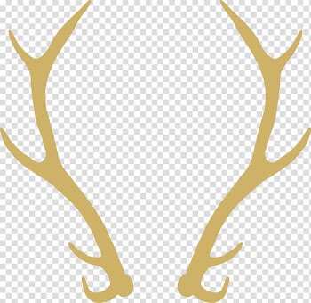 Wedding invitation Wreath Flower , Antler transparent background PNG clipart