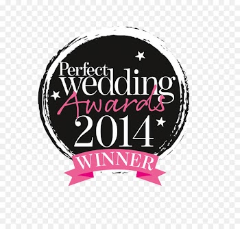 Wedding photography Bride Wedding dress Wedding Planner - wedding 