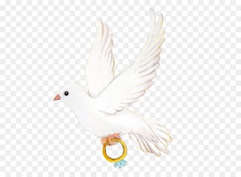 Wedding ring Icon - Vector love pigeons 
