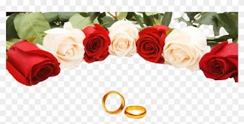 Wedding Ring Rose Stock Photography - Wedding Poster Design Templates Hd