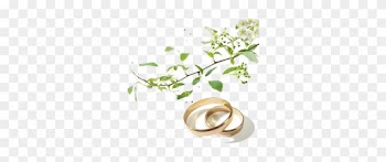 Wedding Rings I - Die Liebe Hört Niemals Auf 9783746233765 (paperback)