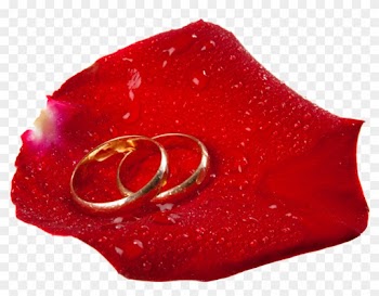 Wedding Rings In Rose Petal Png Clip Art - Clip Art