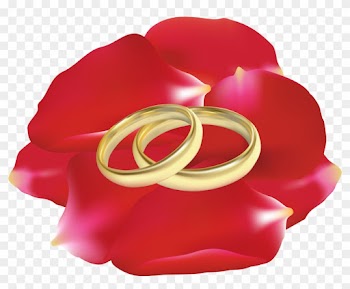 Wedding Rings In Rose Petals Png Clip Art - Wedding Rings In Rose Petals Png Clip Art