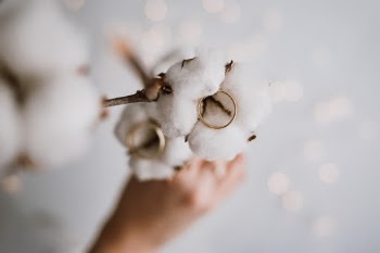 Wedding rings on the cotton with beatiful bokeh