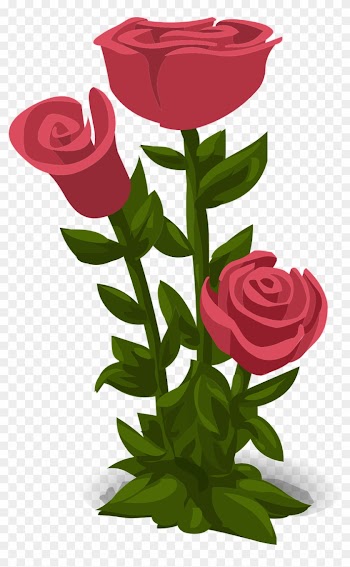 Wedding, Roses, Pink, Flowers, Floral, Nature - Hoa Hong Vector