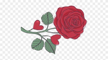 Wedding Videographer In Columbia Sc, Camden, Aiken, - Cafepress Drawing Of A Rose Full/queen Duvet Cover