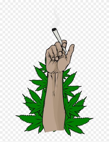 Weed Clipart Grass Root - Marihuana Png