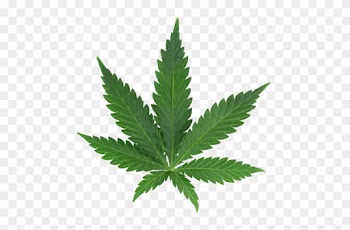 Weed Tumblr - Weed Leaf