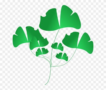Weeds Plant, Green, Leaves, Nature, Weeds - Clip Art