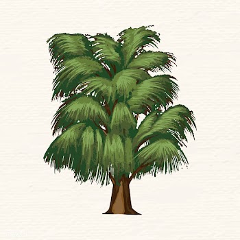 Weeping willow tree | Free stock vector - 936610