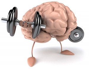 Weight Lifting Can Change The Structure Of Your Brain - Nr. 1 HGH ...