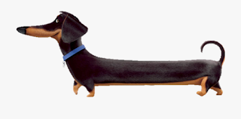 Weiner Dog Png - Secret Life Of Pets Characters Png , Transparent ...