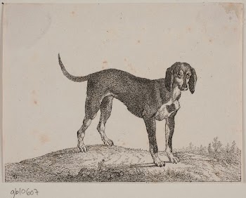 Wekop;from Chiens de chasse by Christian | Free Photo - rawpixel